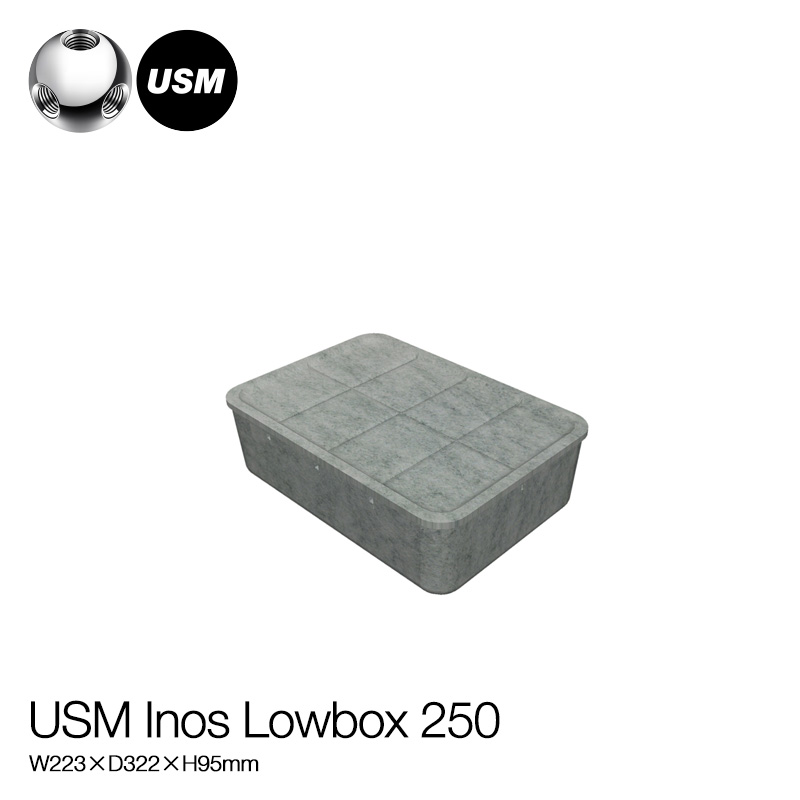 USM Modular Furniture USMモジュラーファニチャー USMイノス ボックス ローボックス250 （トレイ付き） サイズ：W223×D322×H95mm
