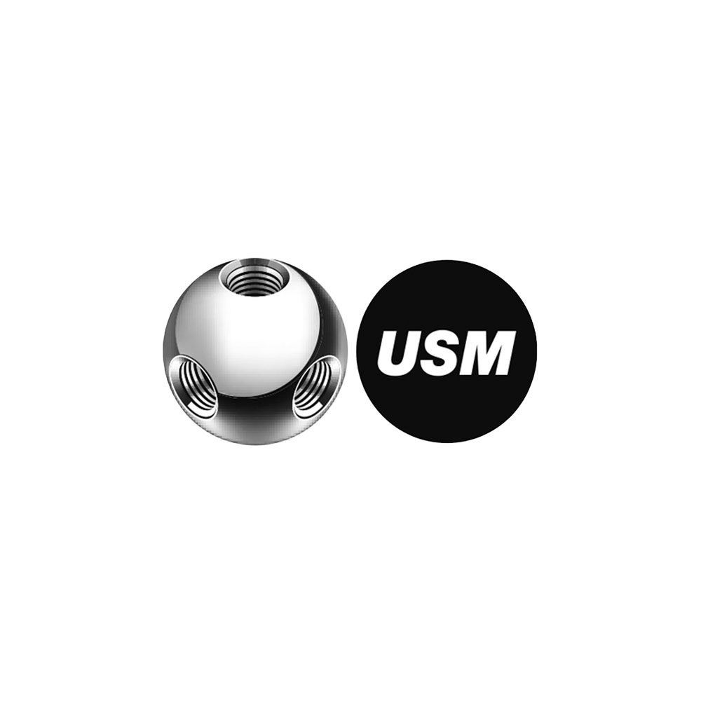 USMについて