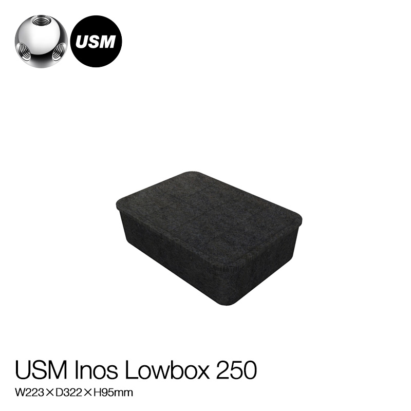 USM ユーエスエム USMイノス ボックス ローボックス250 （トレイ付き） サイズ：W223×D322×H95mm