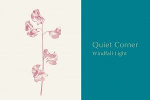 Quiet Corner -心を静める音楽集- Web連載 第11回