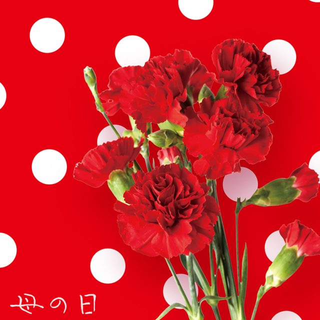 attract e/M MOTHER’S DAY 母の日