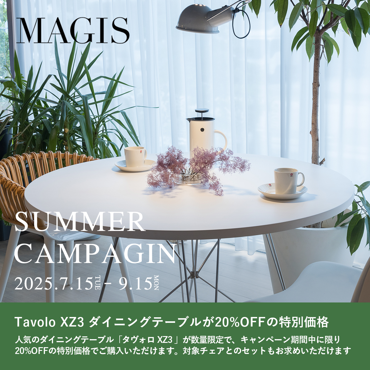 MAGIS マジス サマーキャンペーン 2025 MAGIS マジス サマーキャンペーン 2025