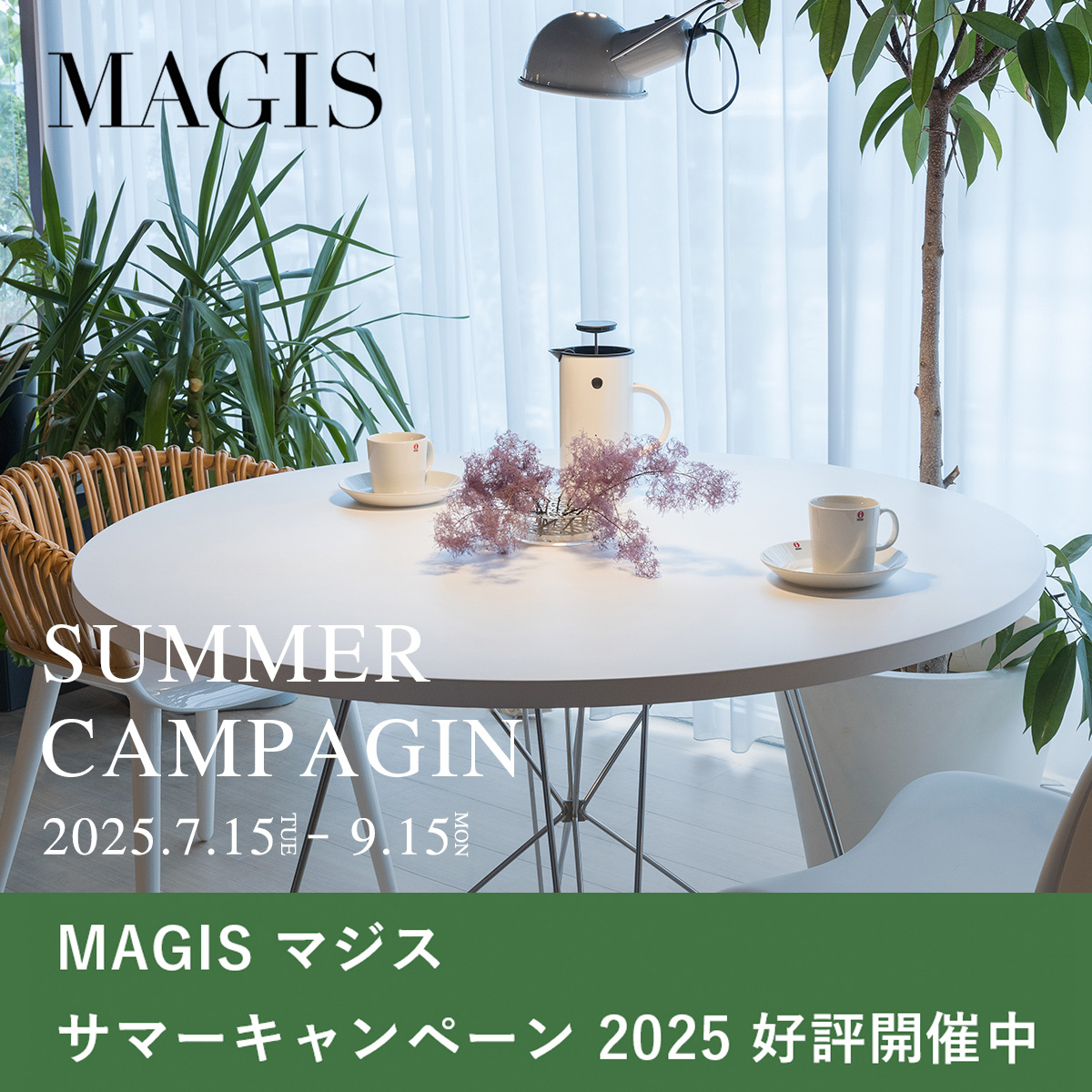 MAGIS（マジス）サマーキャンペーン 期間限定で好評開催中！