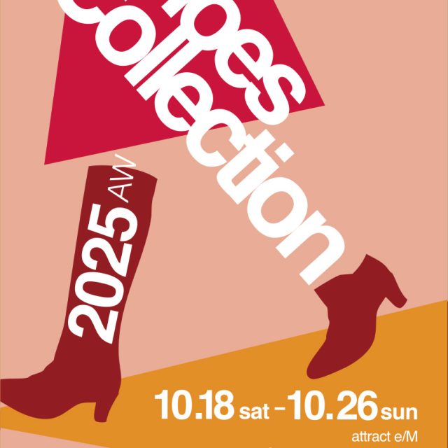 Shoes Collection 2025 AW