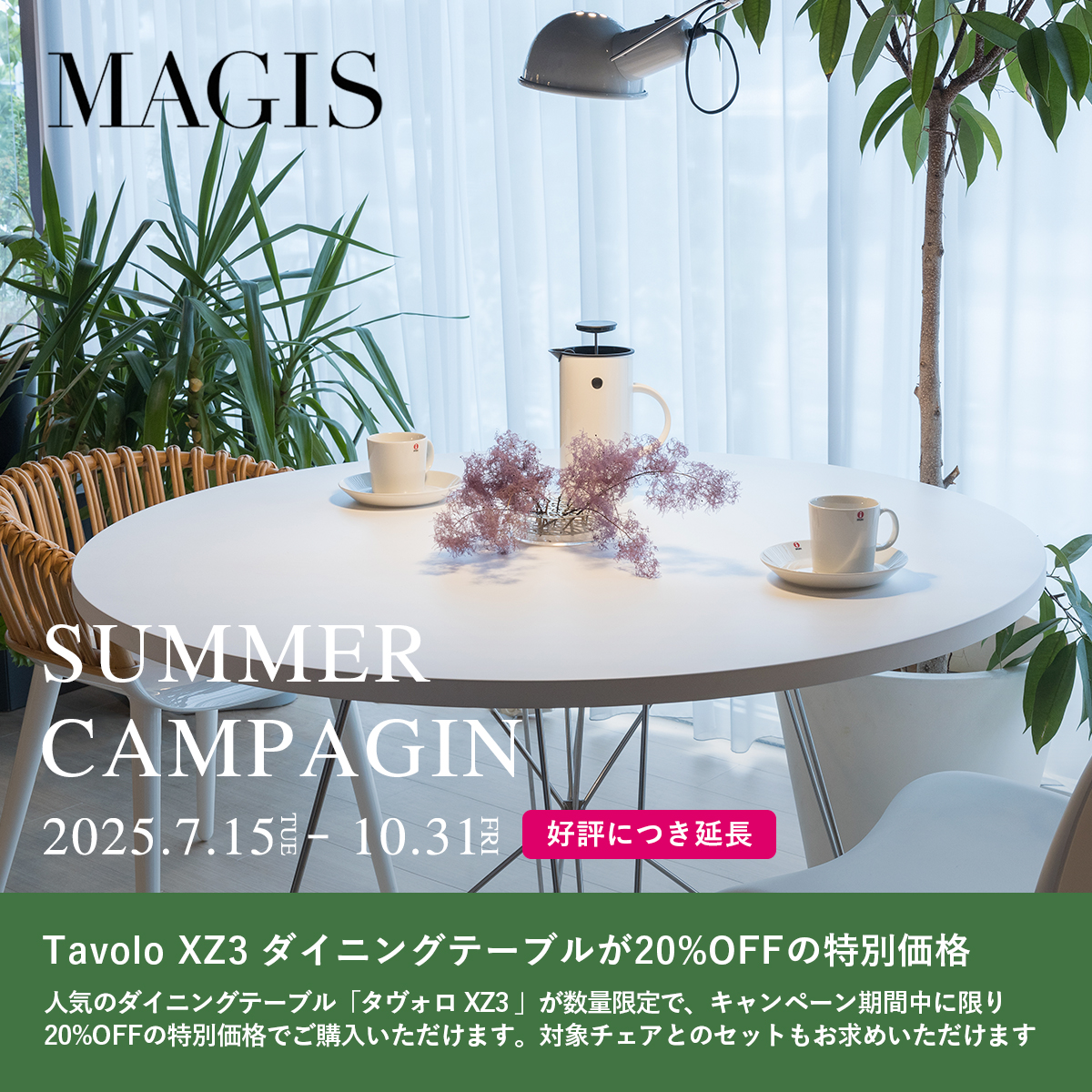 MAGIS マジス サマーキャンペーン 2025