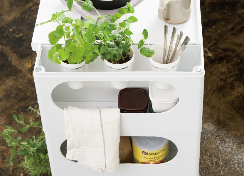 アクリルホルダー（カップ3点セット）