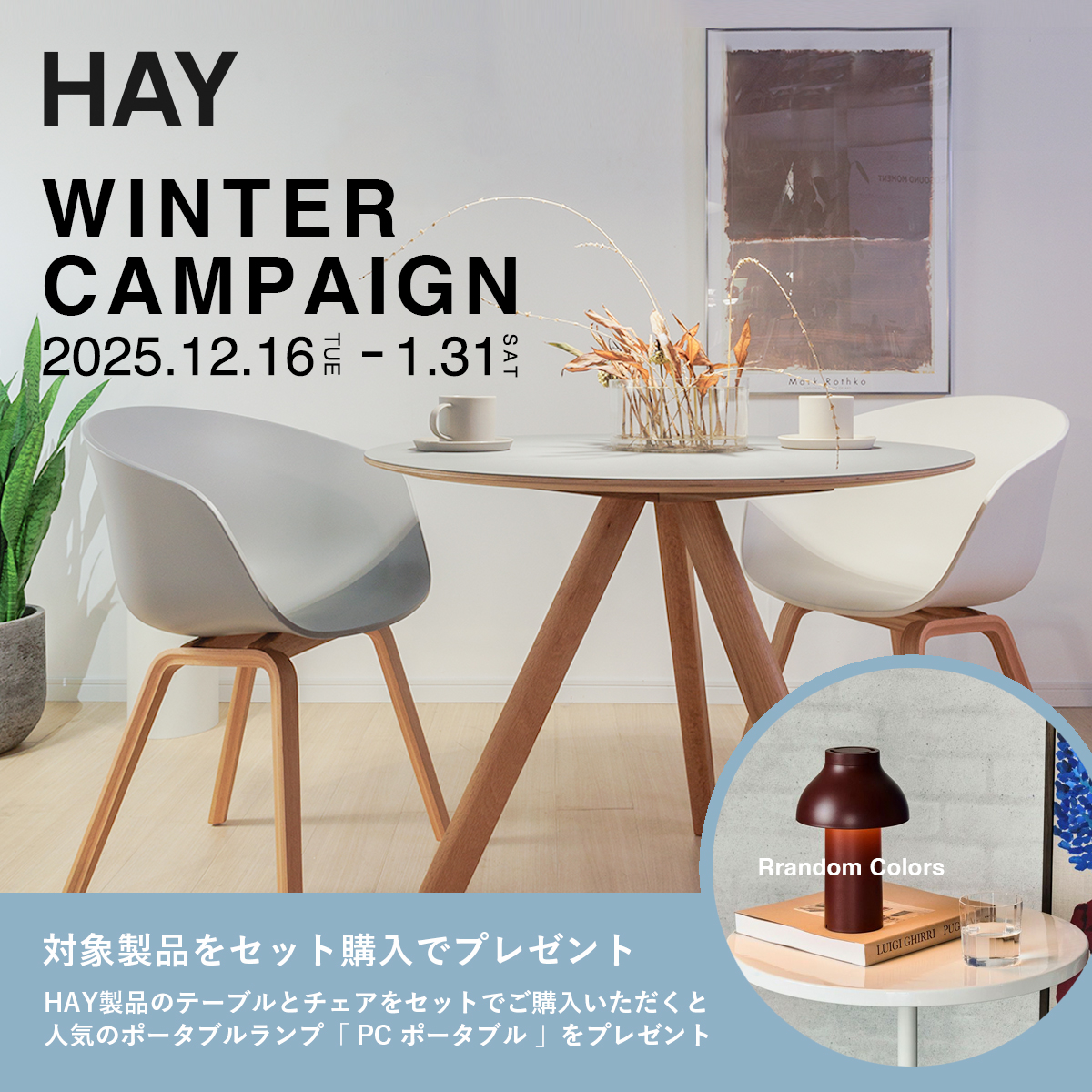 HAY ウィンターキャンペーン