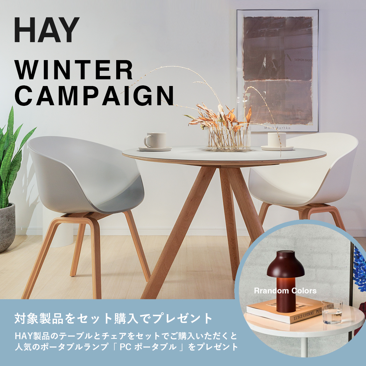 HAY ウィンターキャンペーン