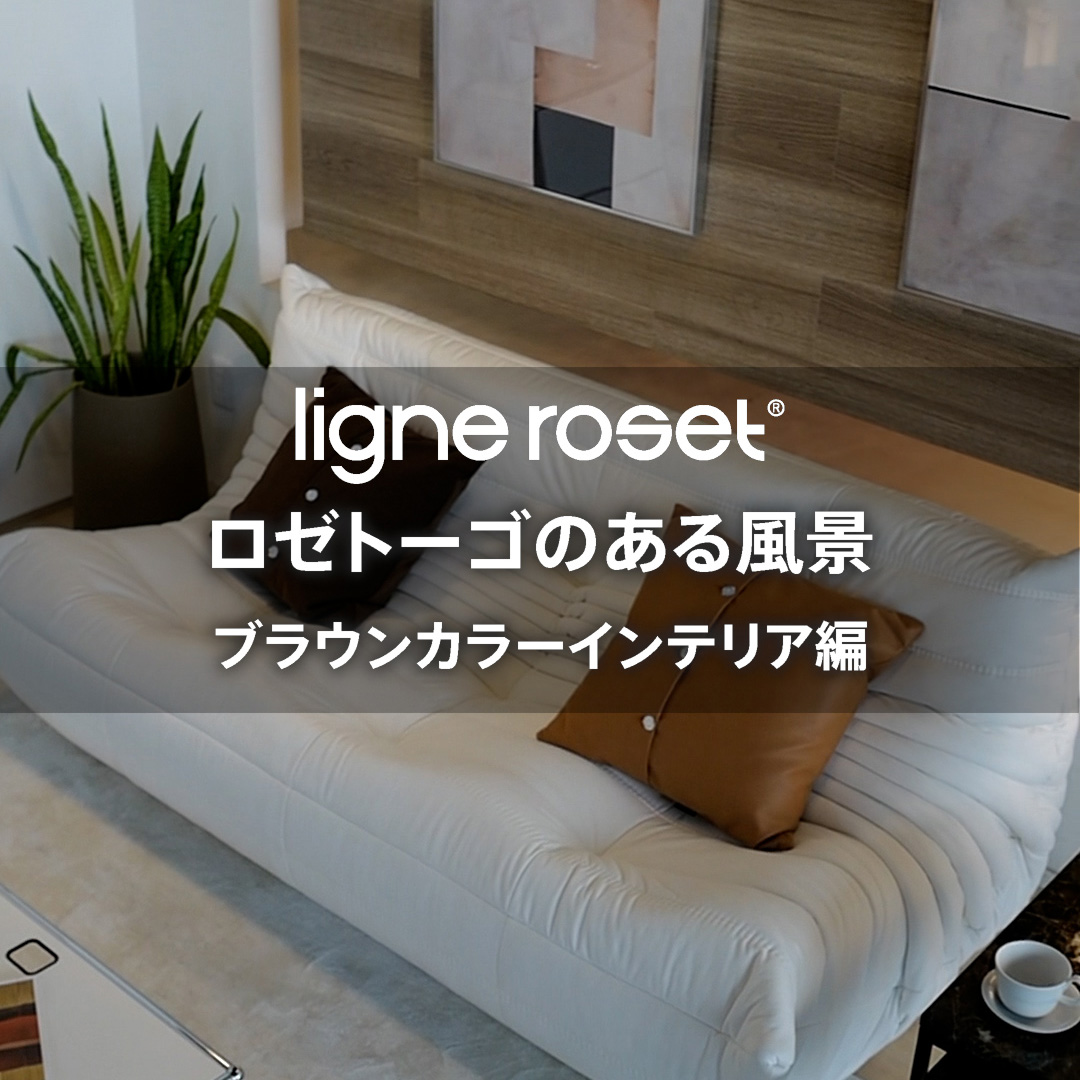 ロゼトーゴのある風景「ブラウンカラーインテリア編」